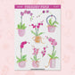 Pink Potted Orchids | FL0129