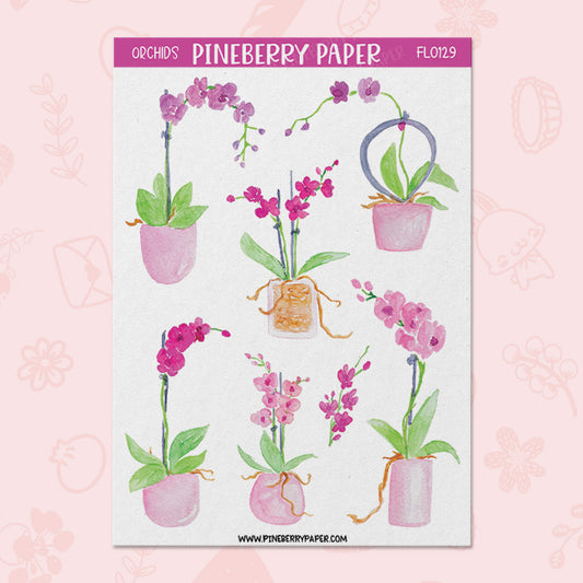 Pink Potted Orchids | FL0129