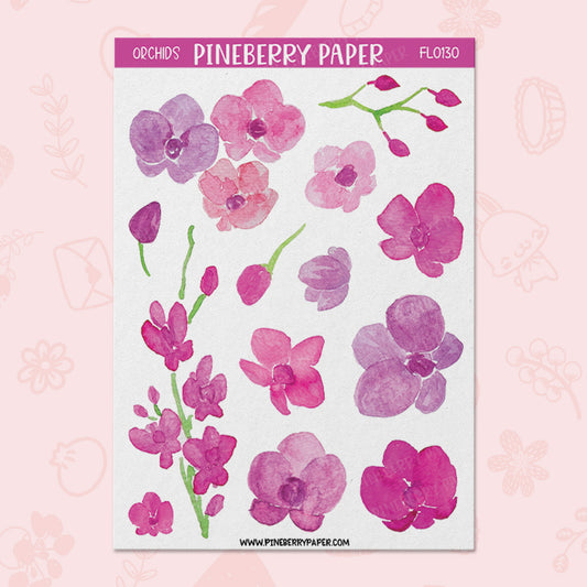 Pink Orchids | FL0130