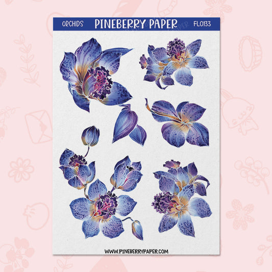 Blue Orchids | FL0133