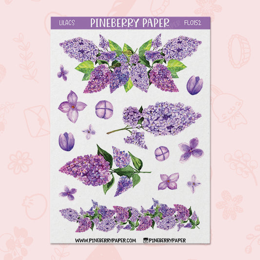 Lilacs | FL0152
