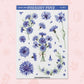 Cornflowers | FL0153