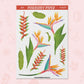 Birds of Paradise | FL0239