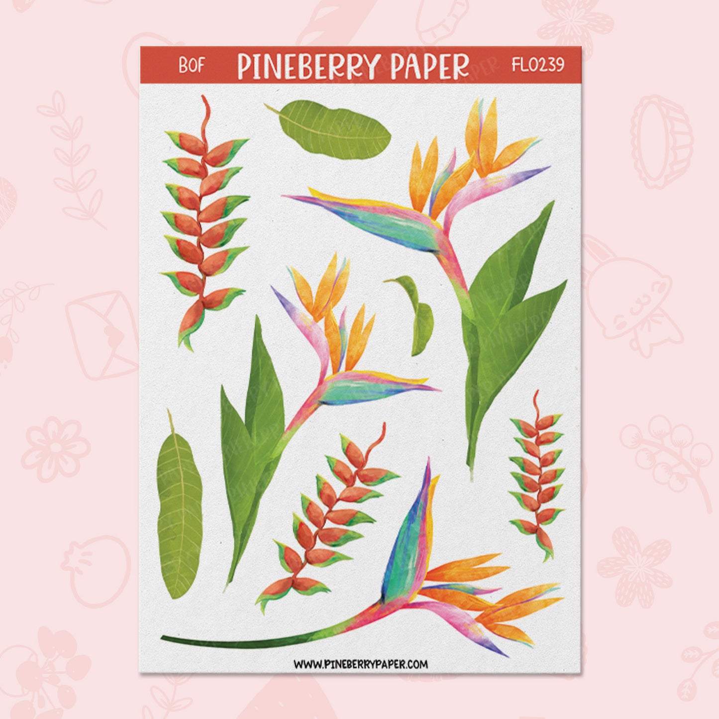 Birds of Paradise | FL0239