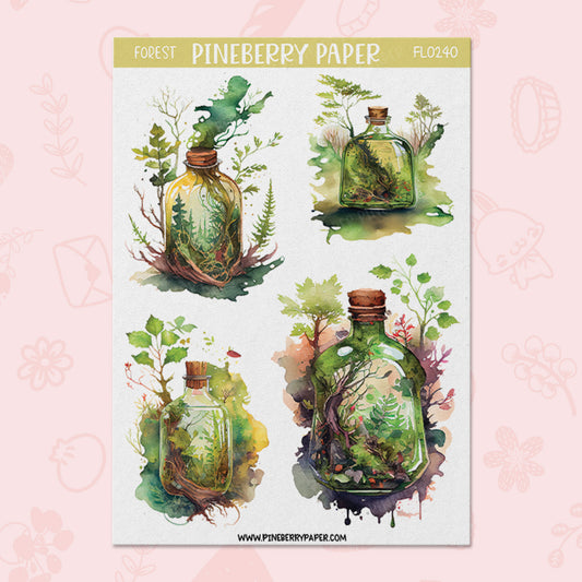 Forest in a Bottle | FL0240