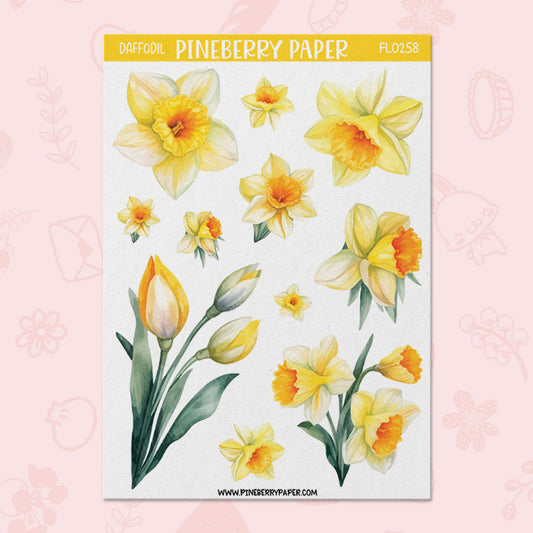 Daffodil | FL0258