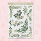 Greenery | FL0264