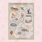 Autumn Cottage Set | SL0110 | SL0111 | Transparent Matte