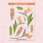 Birds of Paradise | FL0239