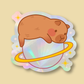 Capybara Planet Suncatcher Window Sticker