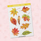 Watercolor Autumn Leaves | FL0208