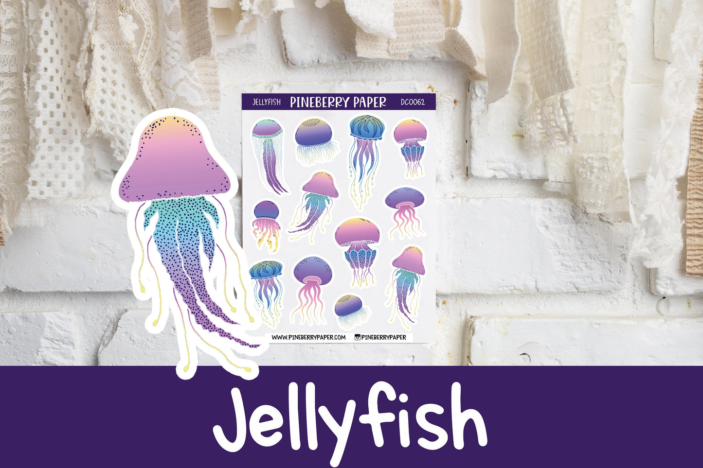 Jellyfish | DC0062