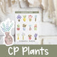 CP Plants | FL0035