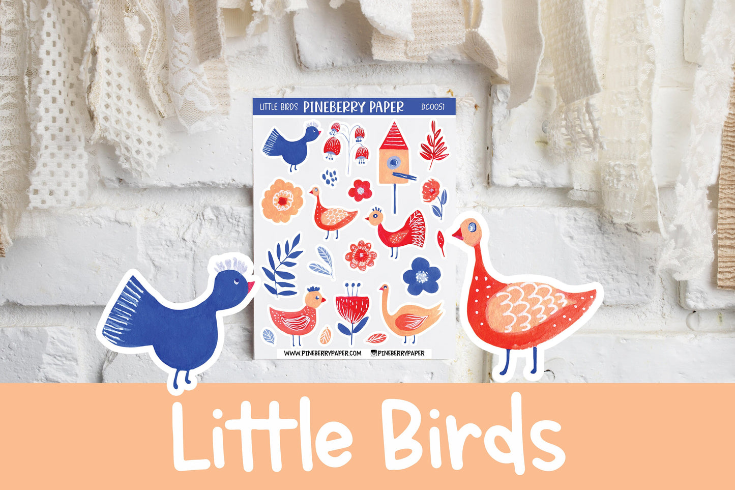 Little Birds | DC0051