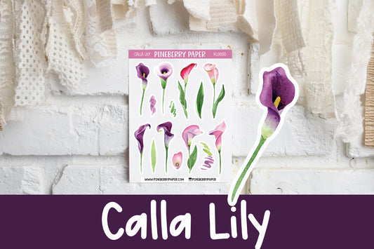 Calla Lily | FL0050