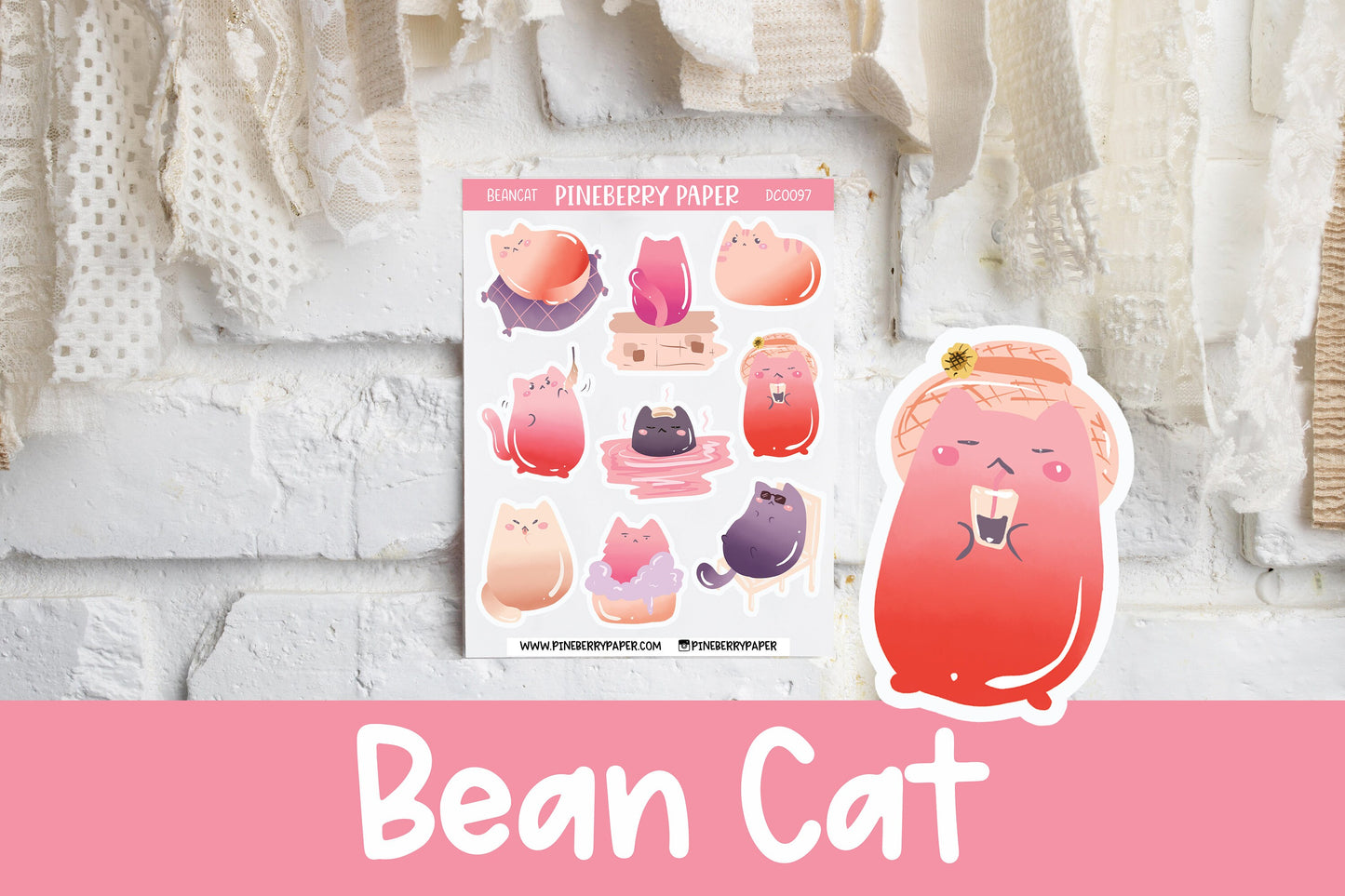 Bean Cat | Kitty | DC0097