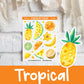 Tropical Fruits | FD0098 | Discontinued