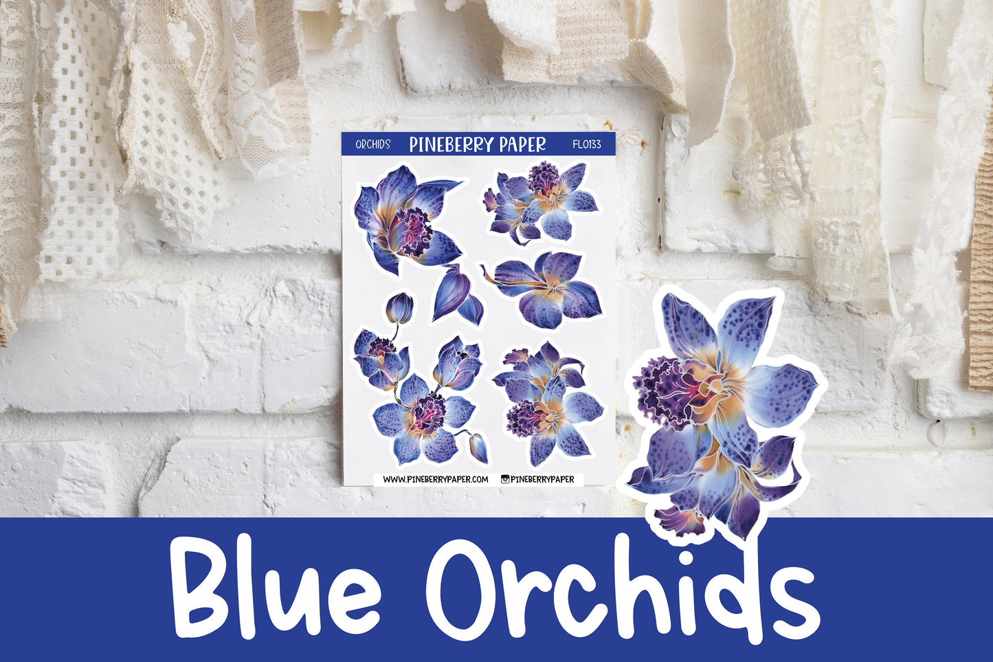 Blue Orchid | FL0133