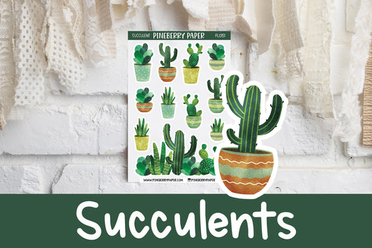 Succulents | FL0151