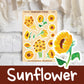 Sunflowers | FL0150