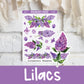 Lilacs | FL0152