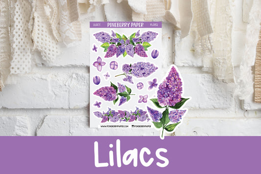 Lilacs | FL0152